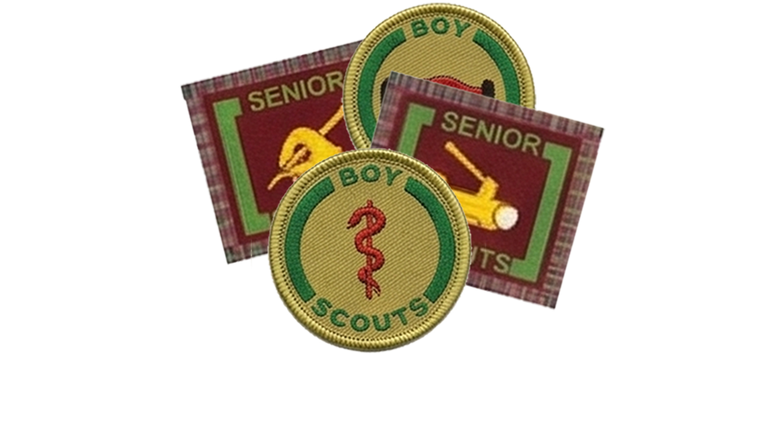 Proficiency Badge